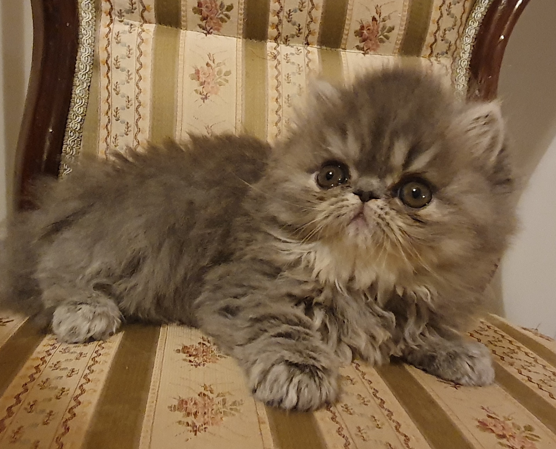 Icebreaker's God Sent Us Blue ♀️