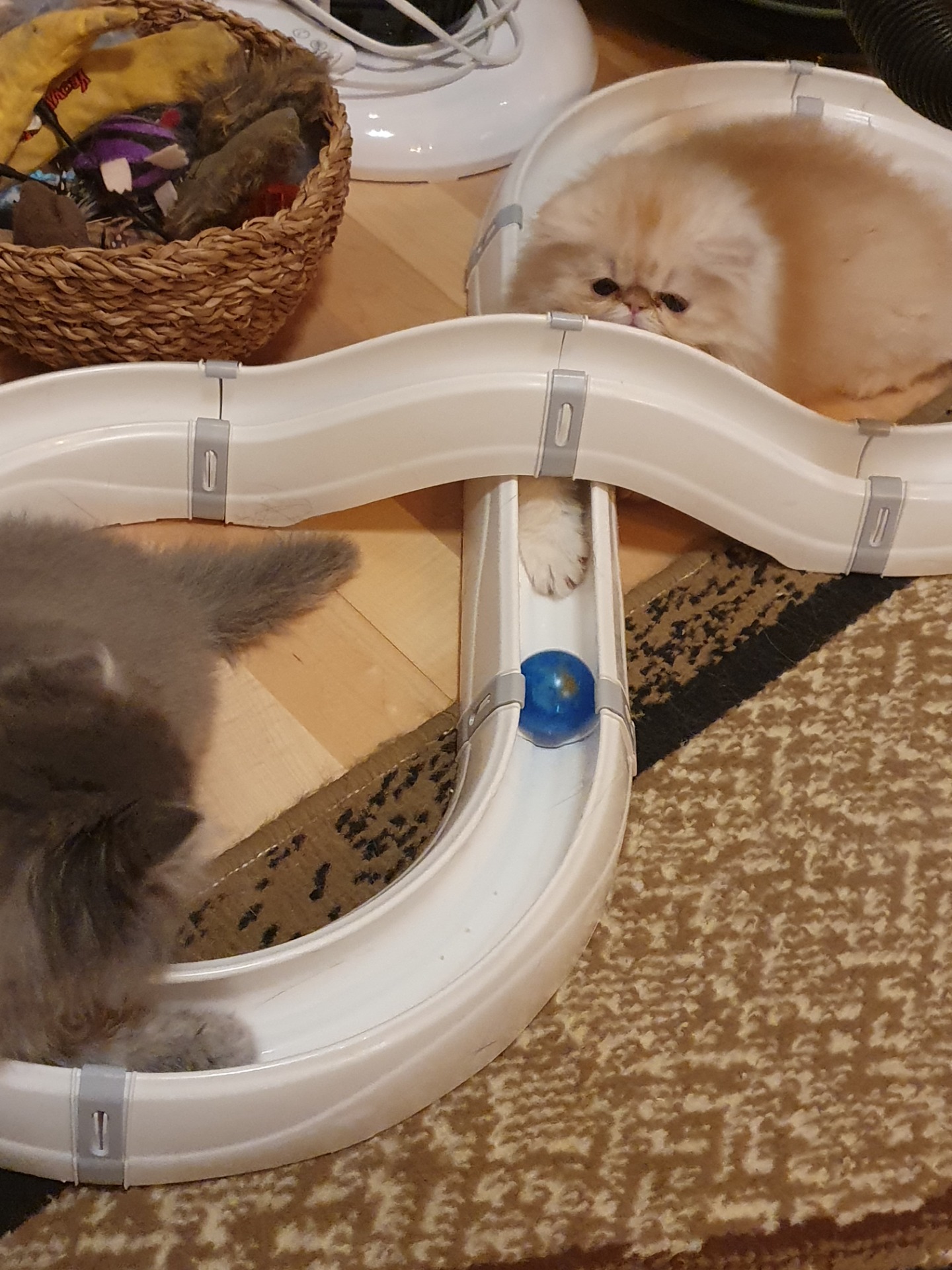 Junaratapallopeli on mieluisa